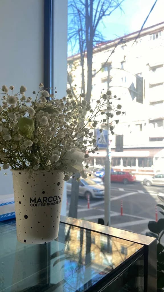 Marconi — фото 6
