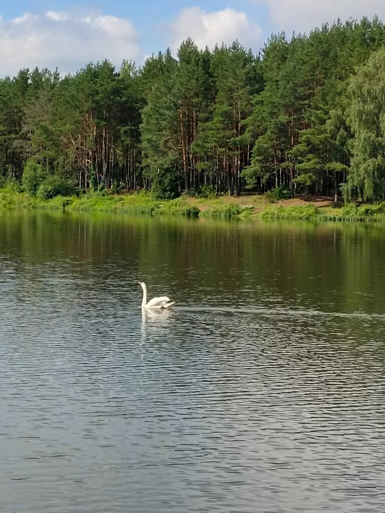 Искусственный водопад — фото 4