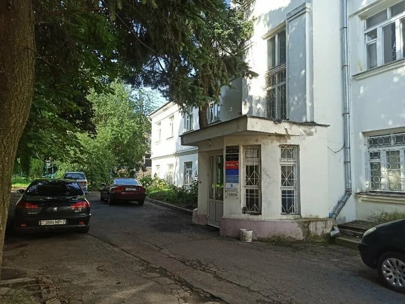 Доктор В. Гринь