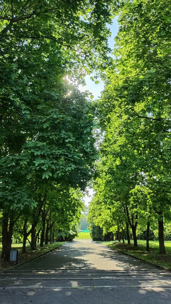 Стела 850-летия Гродно — фото 5