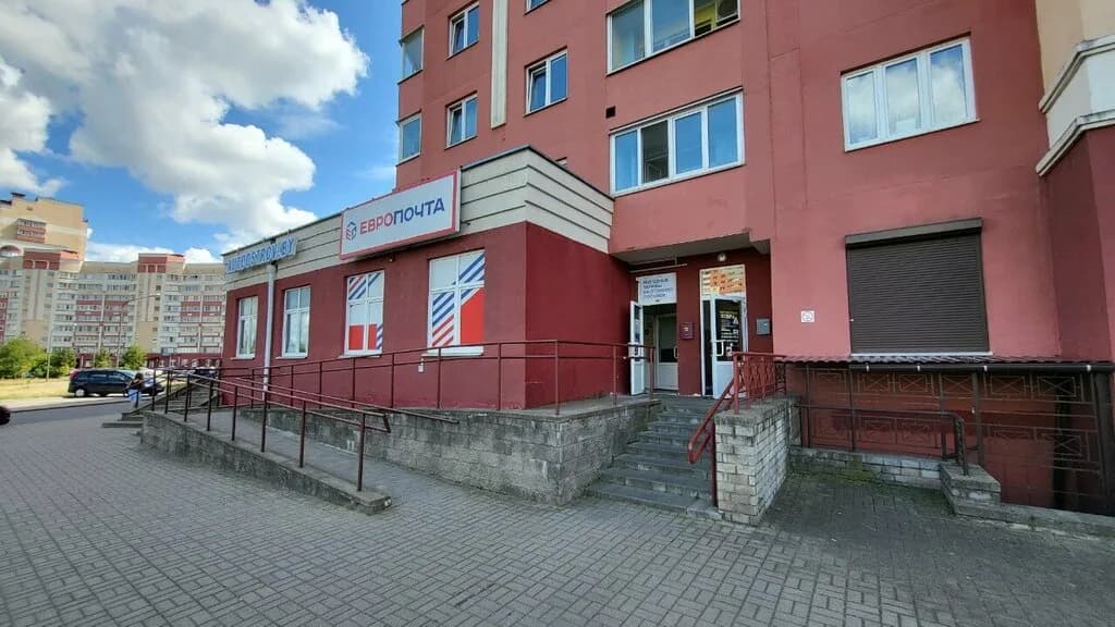 Зебра — фото 6