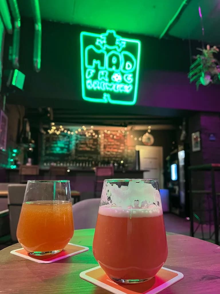 Mad Frog Taproom — фото 6