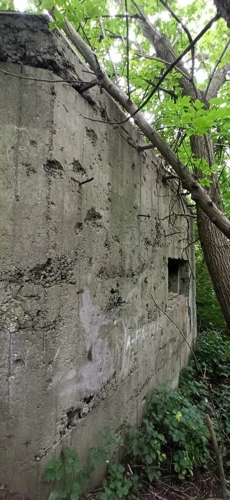 ДОТ