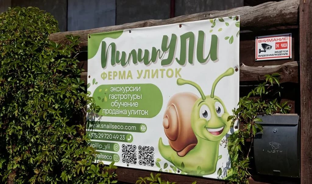 Ферма улиток ПилипУЛИ — фото 3