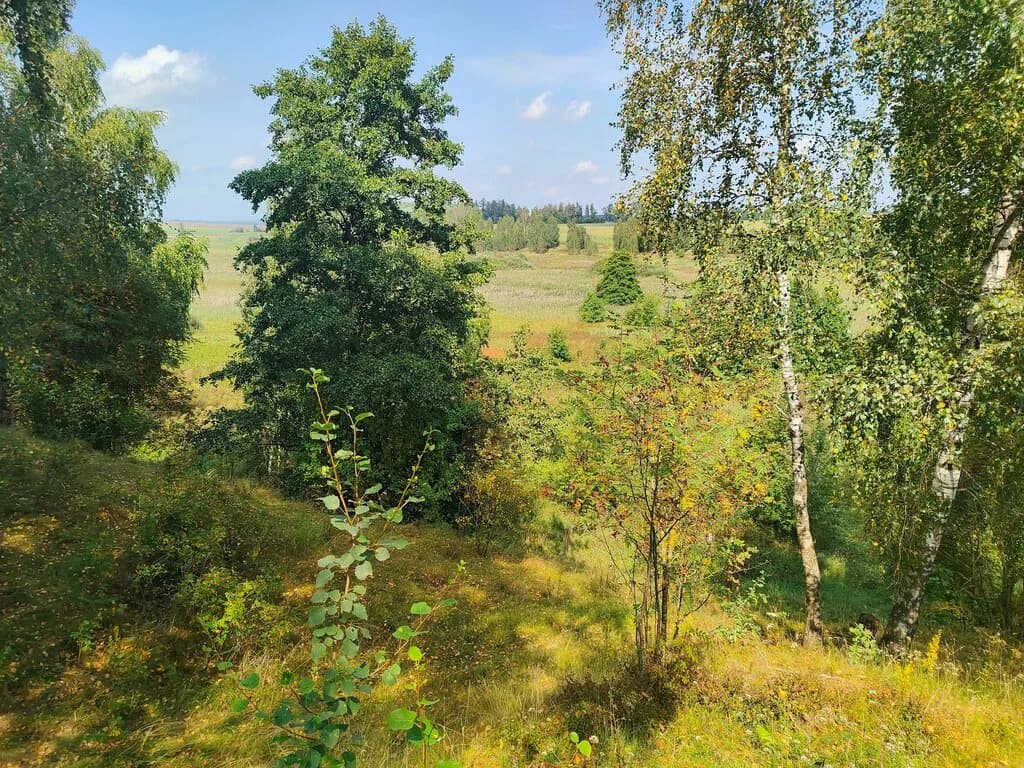 Валы бывшего замка Ходкевичей — фото 4