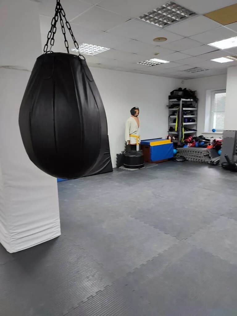 Клуб смешанных единоборств MMA Dojo — фото 5