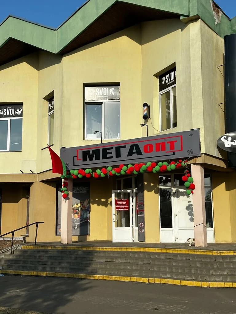 Мегаопт