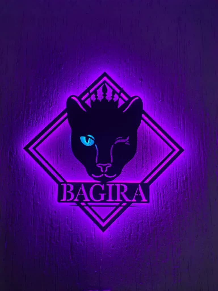 Bagira — фото 2