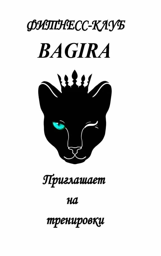 Bagira — фото 5