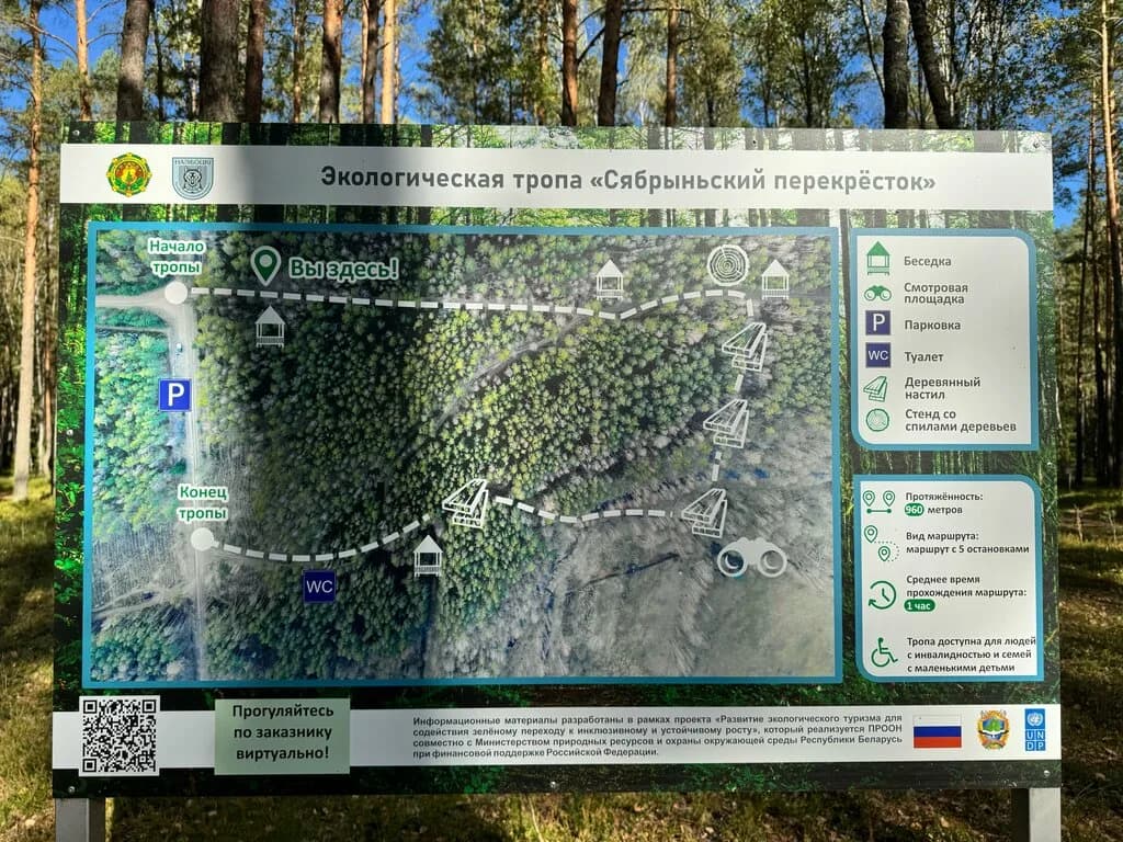 Экологическая тропа Сябрыньский перекресток — фото 5