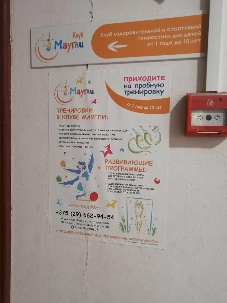 Клуб оздоровительной и спортивной гимнастики Маугли — фото 4