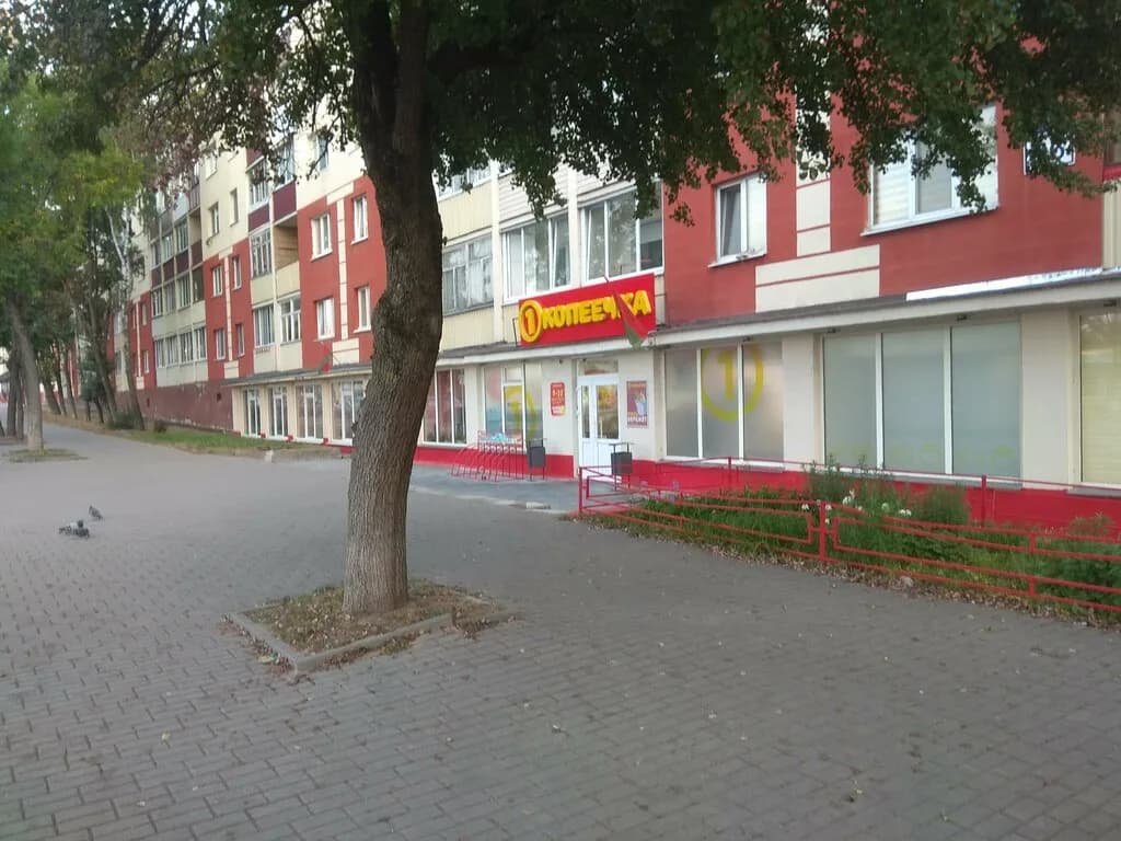 Копеечка — фото 4