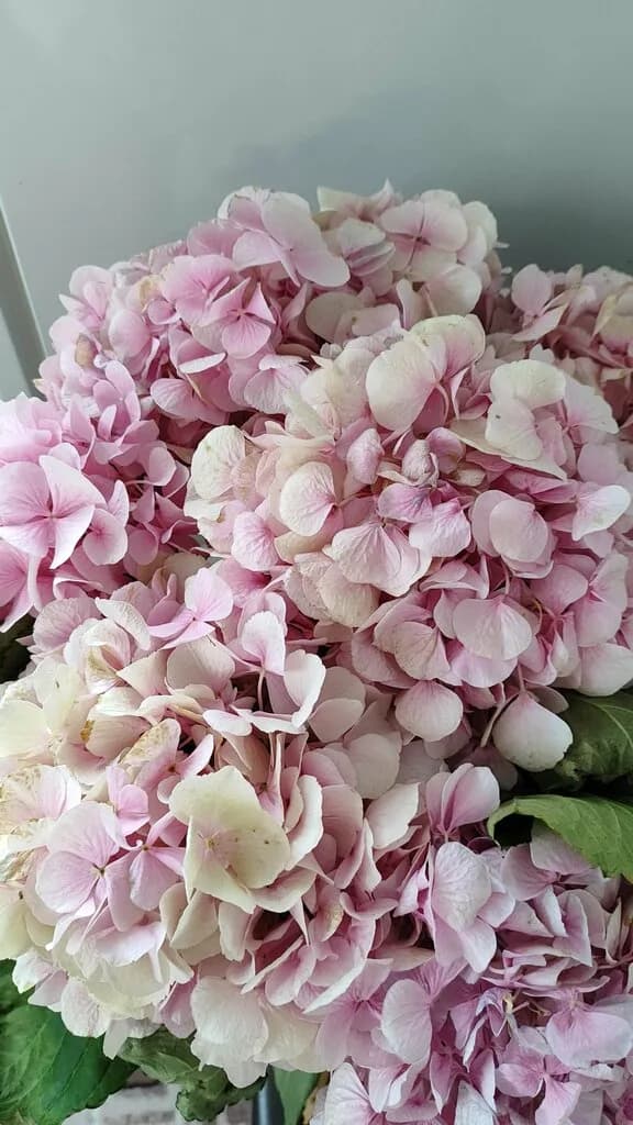 Flowers4you.by — фото 3