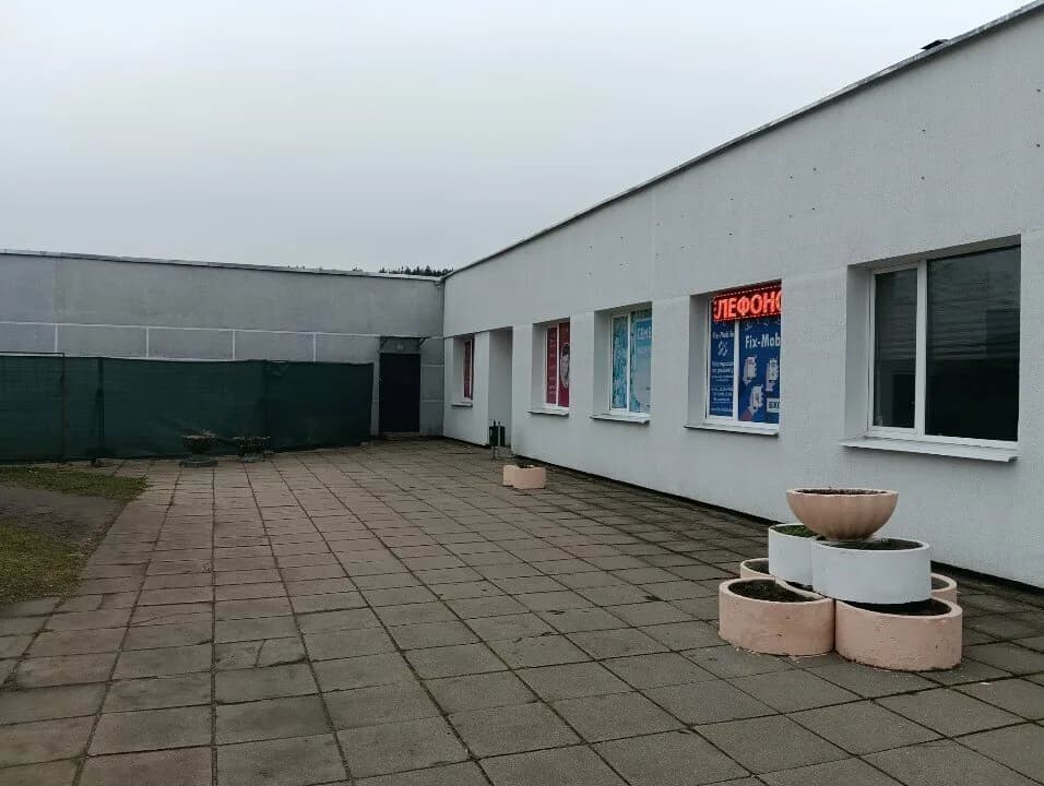 Элеонора и К — фото 4