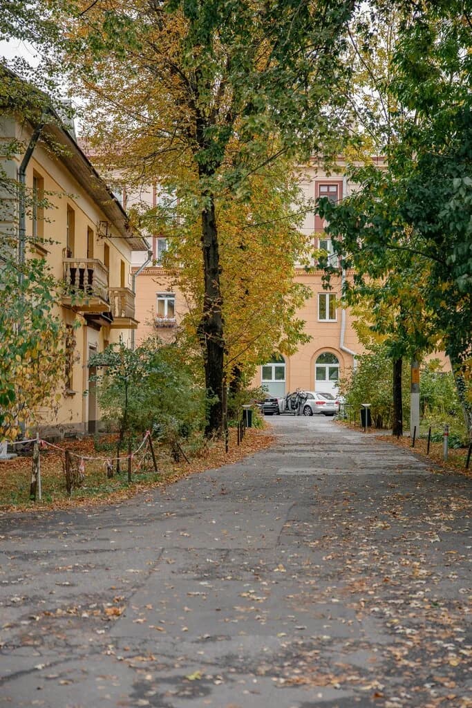 Осмоловка — фото 4