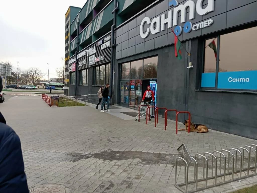 Санта — фото 4