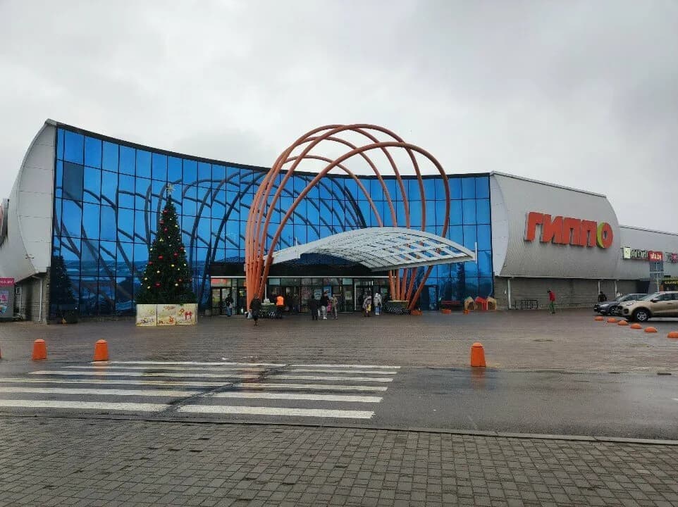 Васильки
