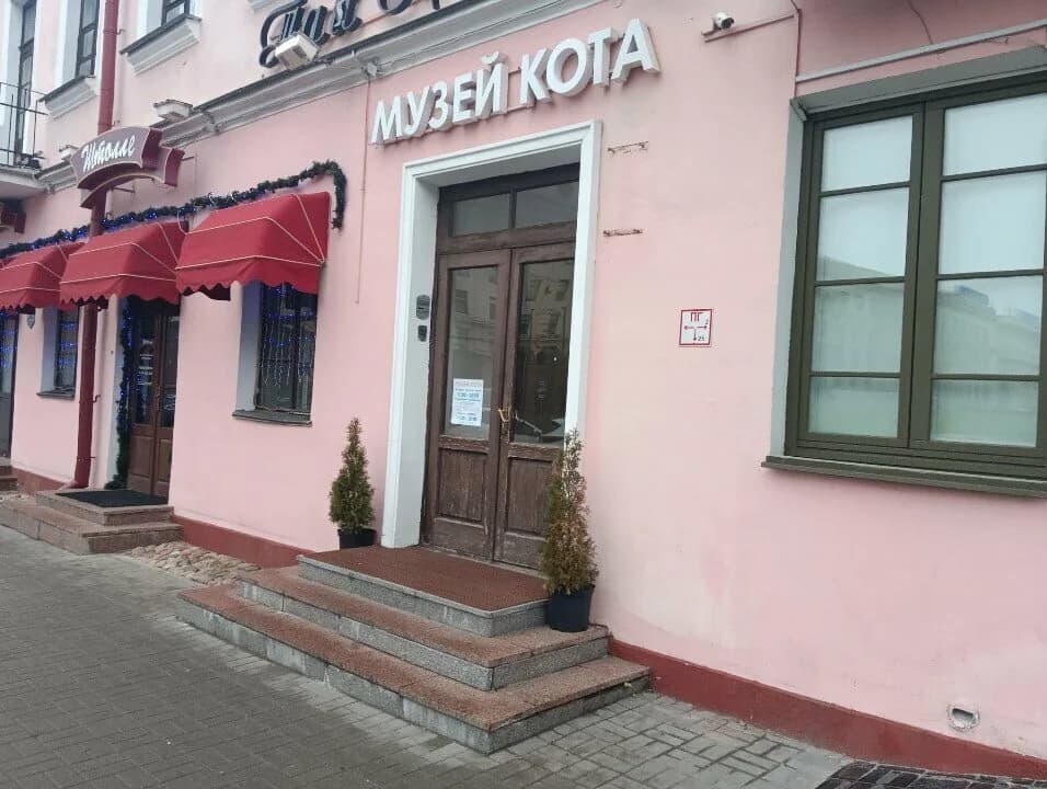«Музей кота»