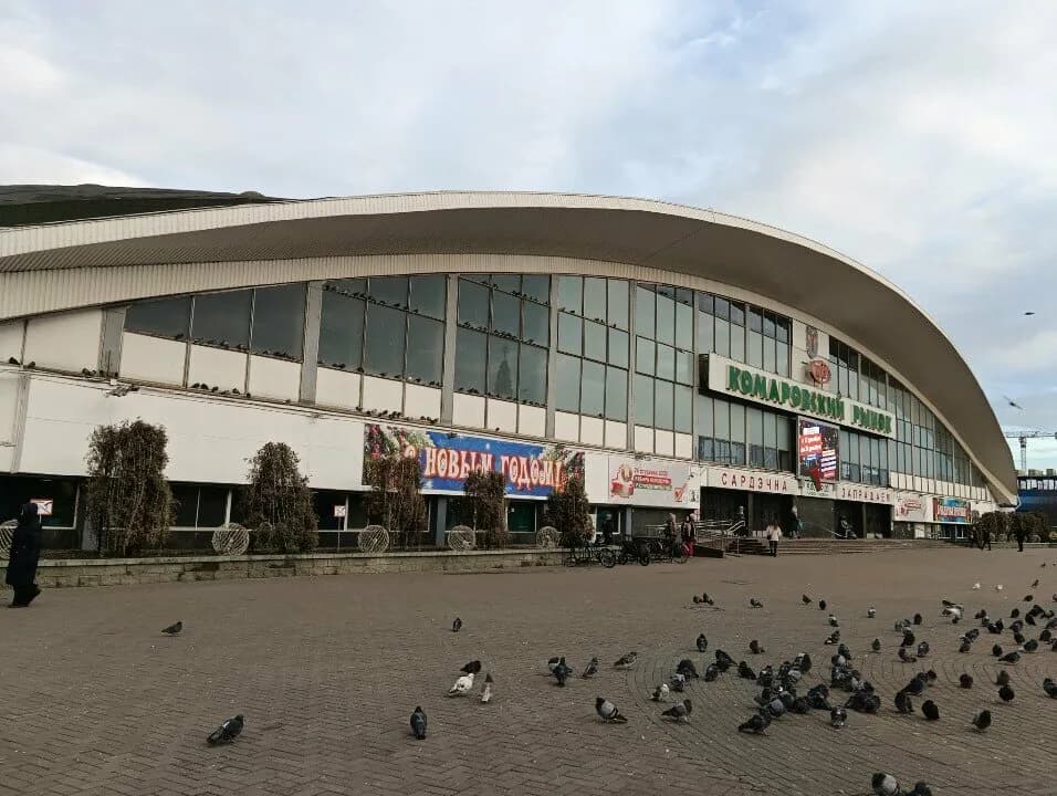 Красный пищевик — фото 3
