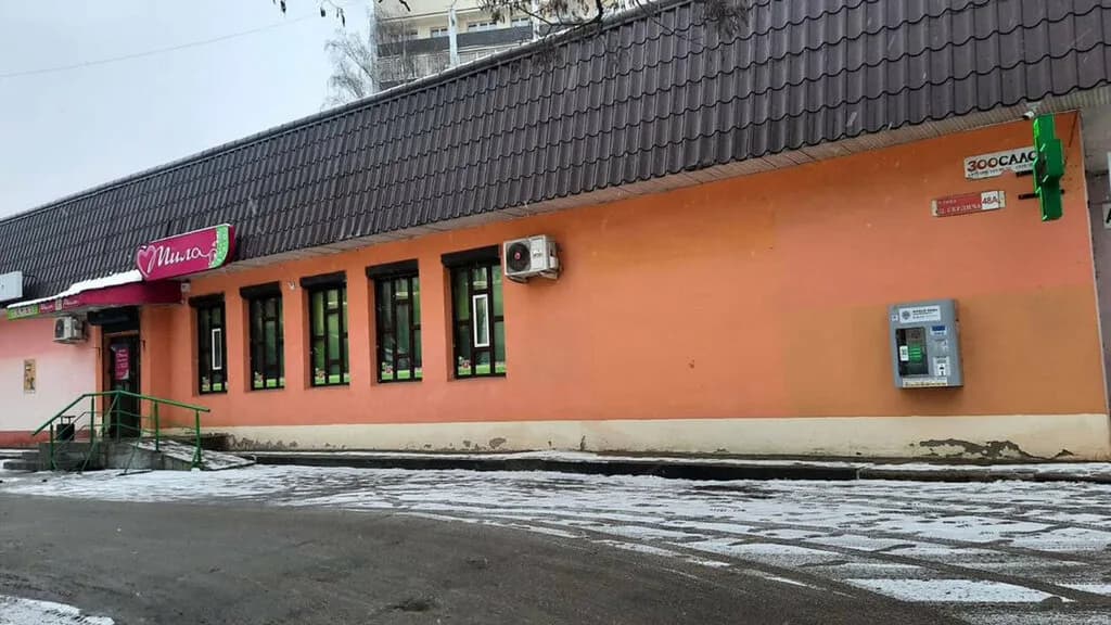 Мила — фото 4