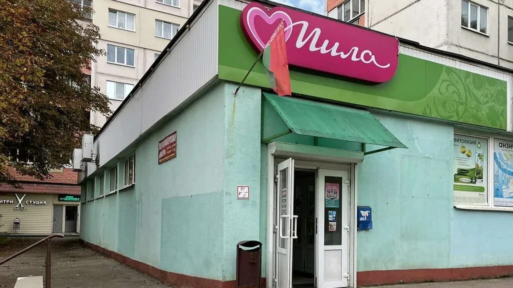 Мила — фото 4
