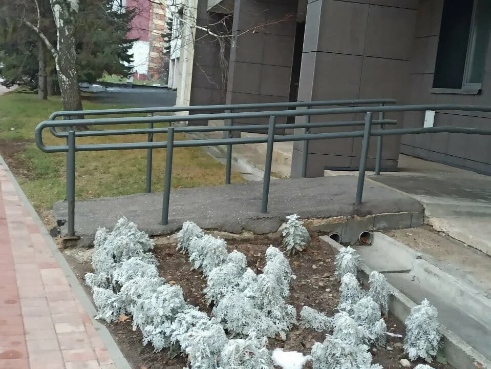 Доктор Жаворонок — фото 4