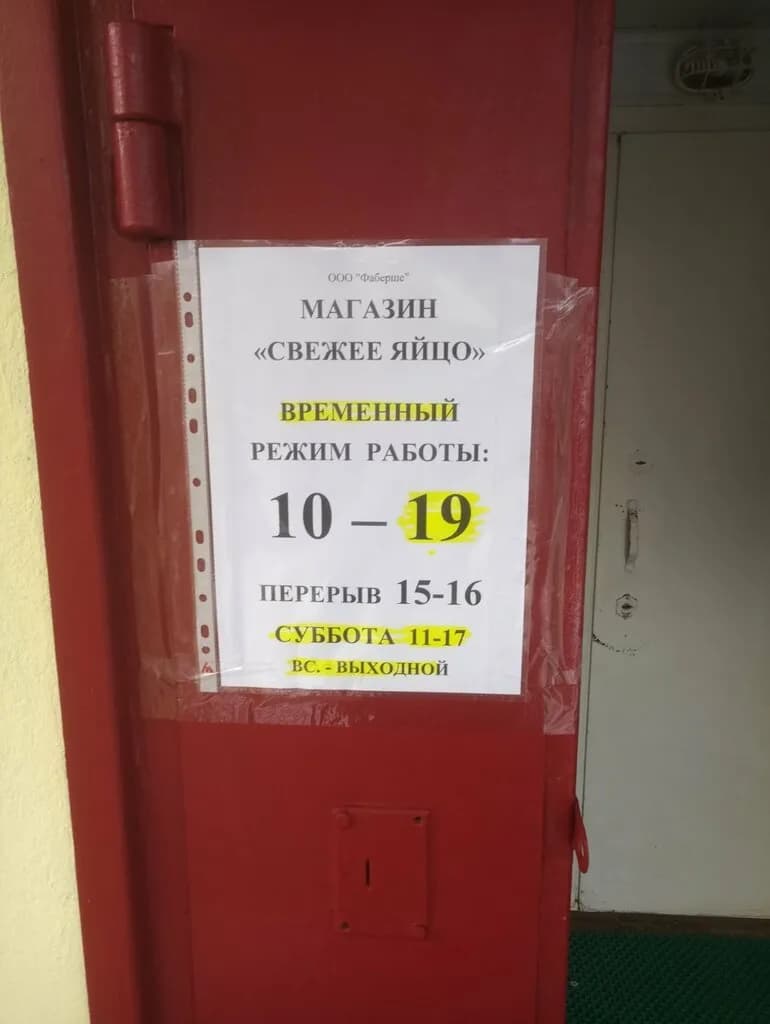 Свежее яйцо — фото 3
