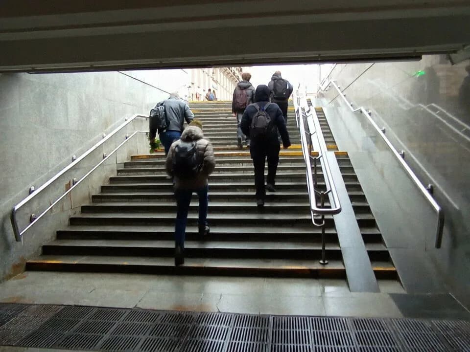 Пассифлора — фото 5