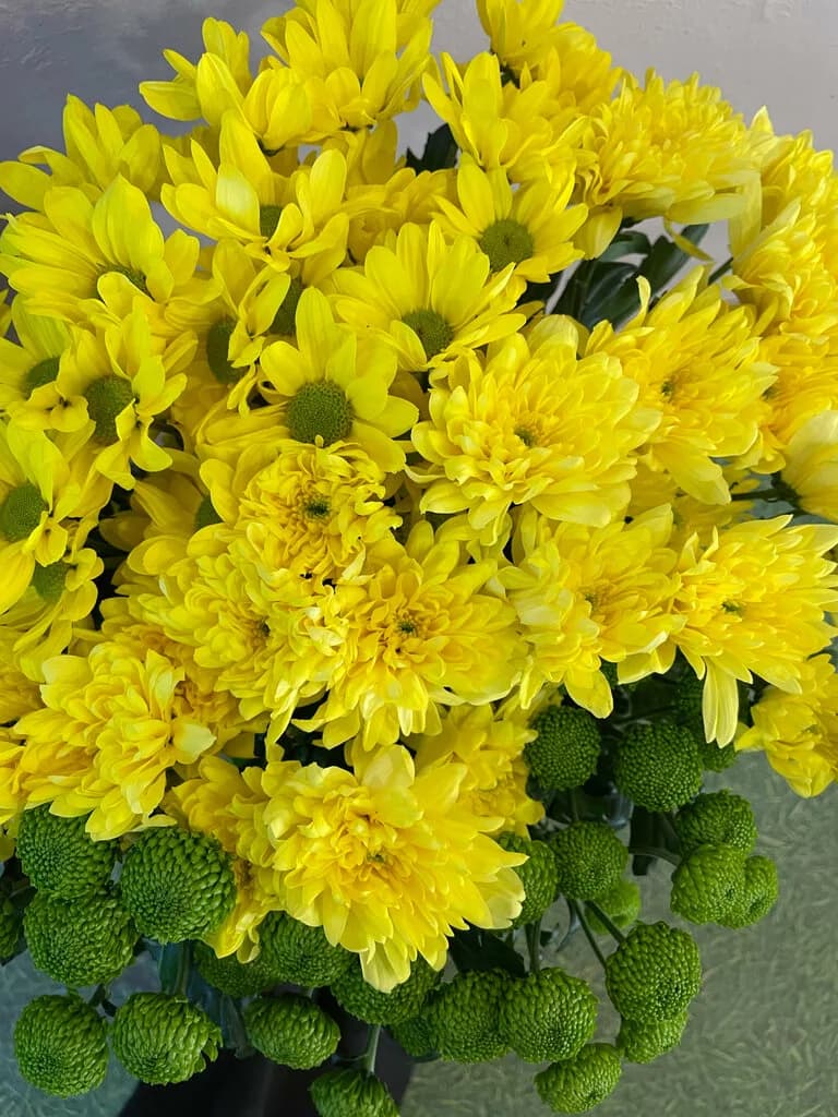 Цветочная поляна — фото 5