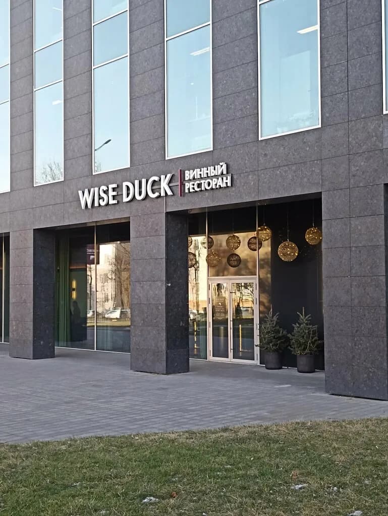 Wise Duck Chooses The Red