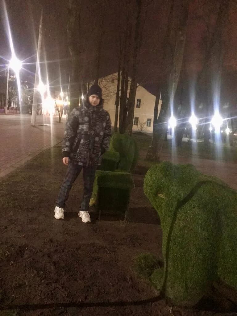 Медведи на пасеке — фото 3