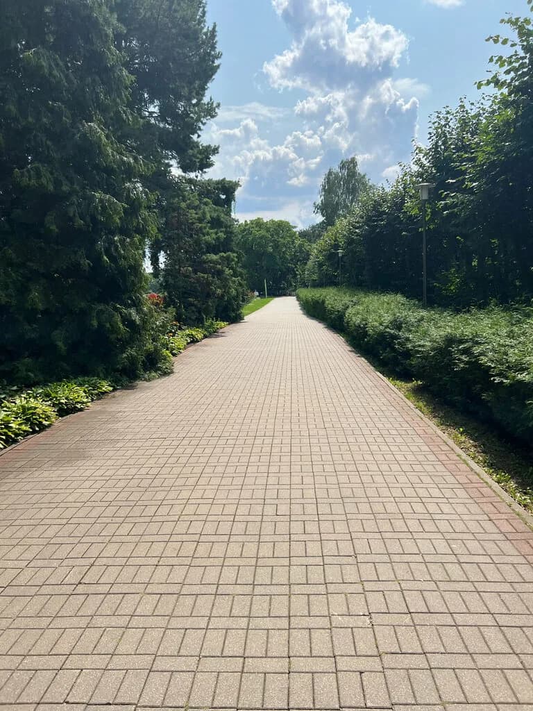 Центральный партер — фото 4