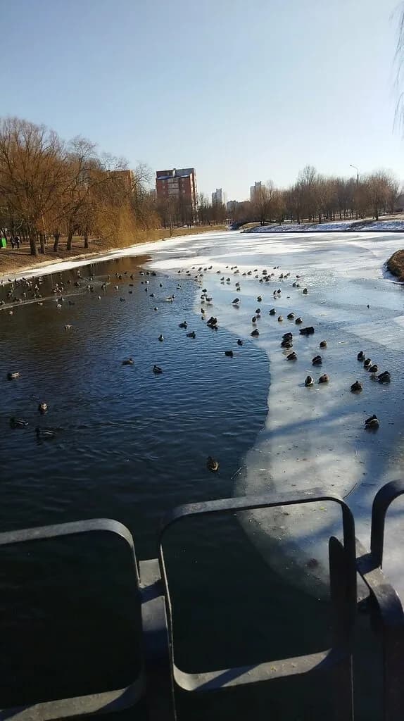 Парк «Семейных деревьев» — фото 6
