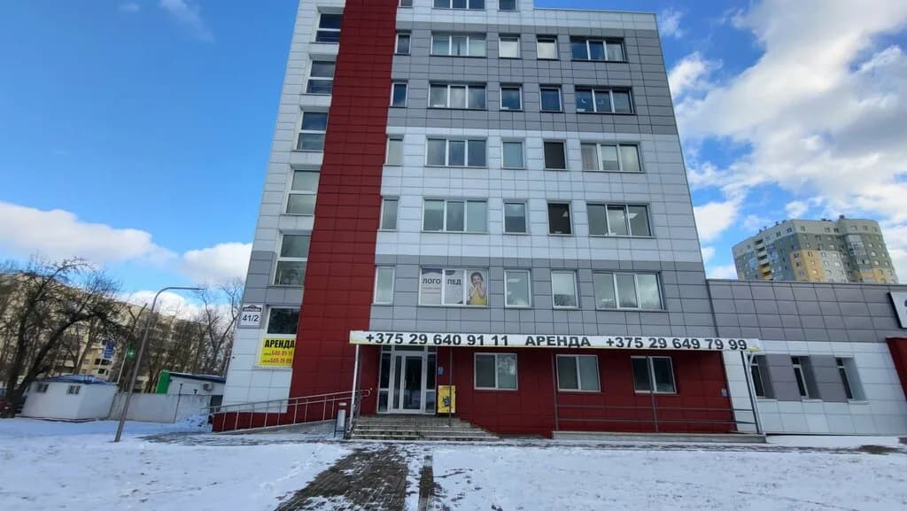 Панда — фото 2