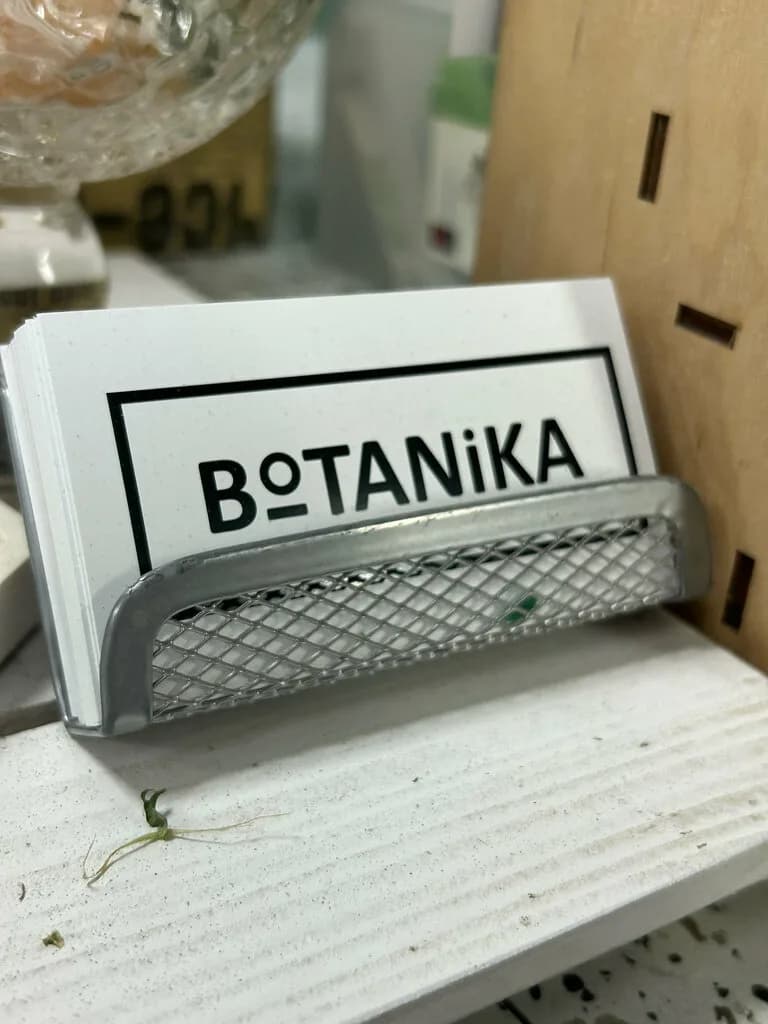 Ботаника — фото 5