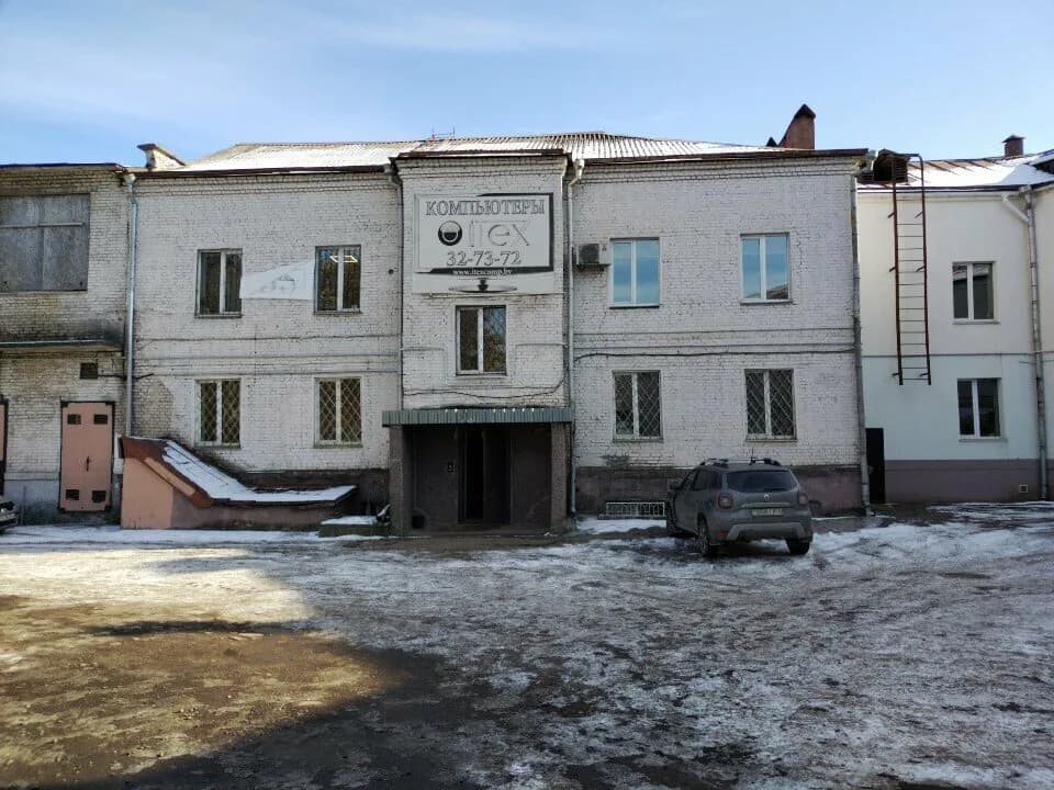 Зубр