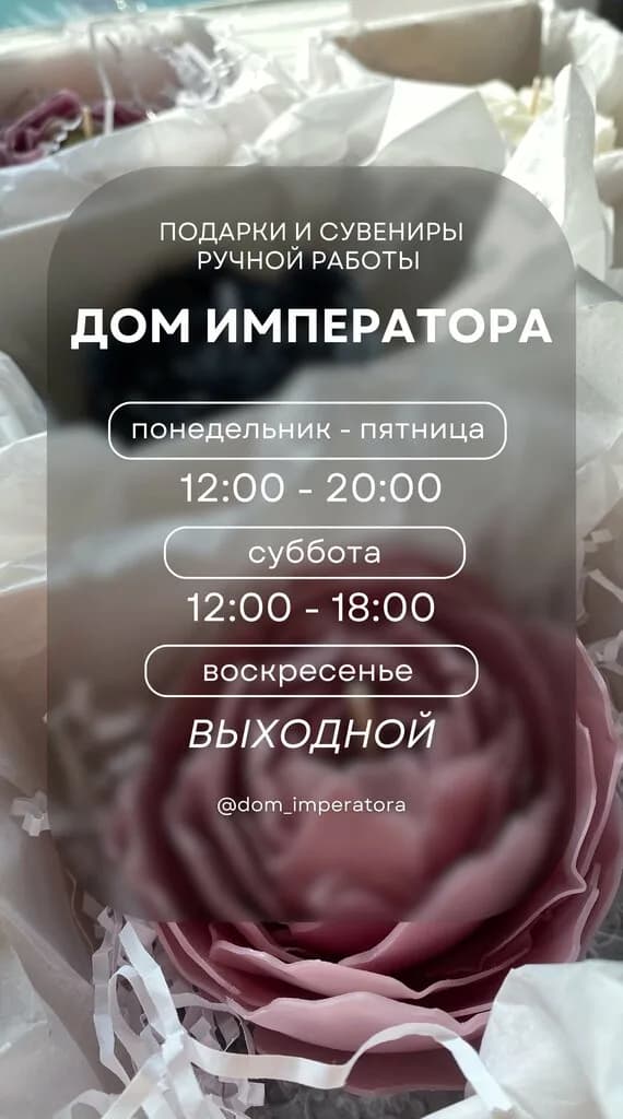 Дом Императора — фото 3