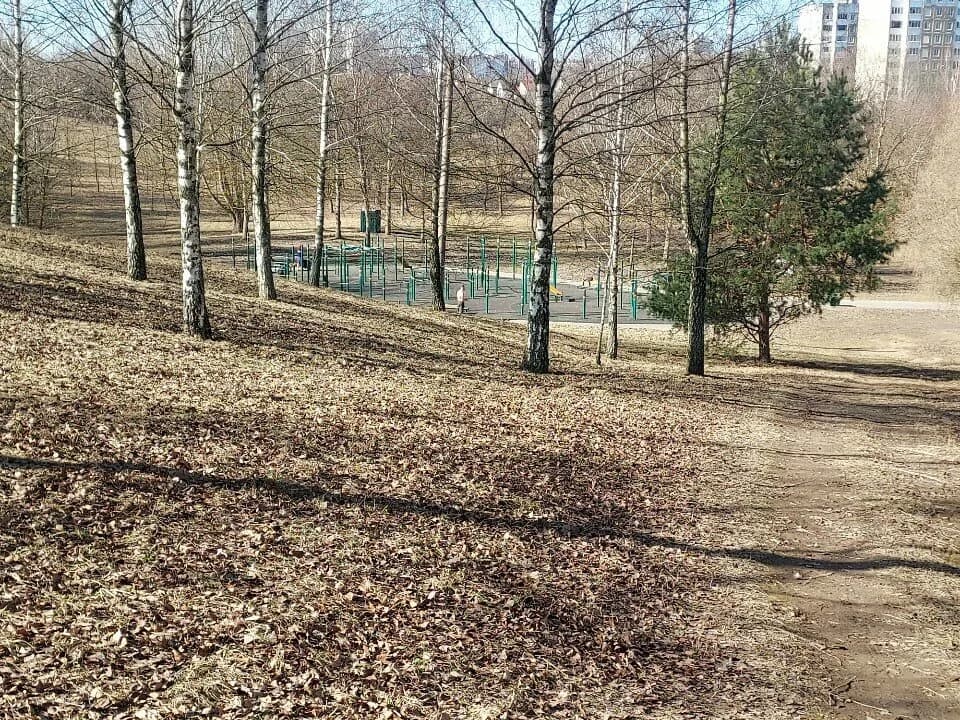 Спортивная площадка — фото 6