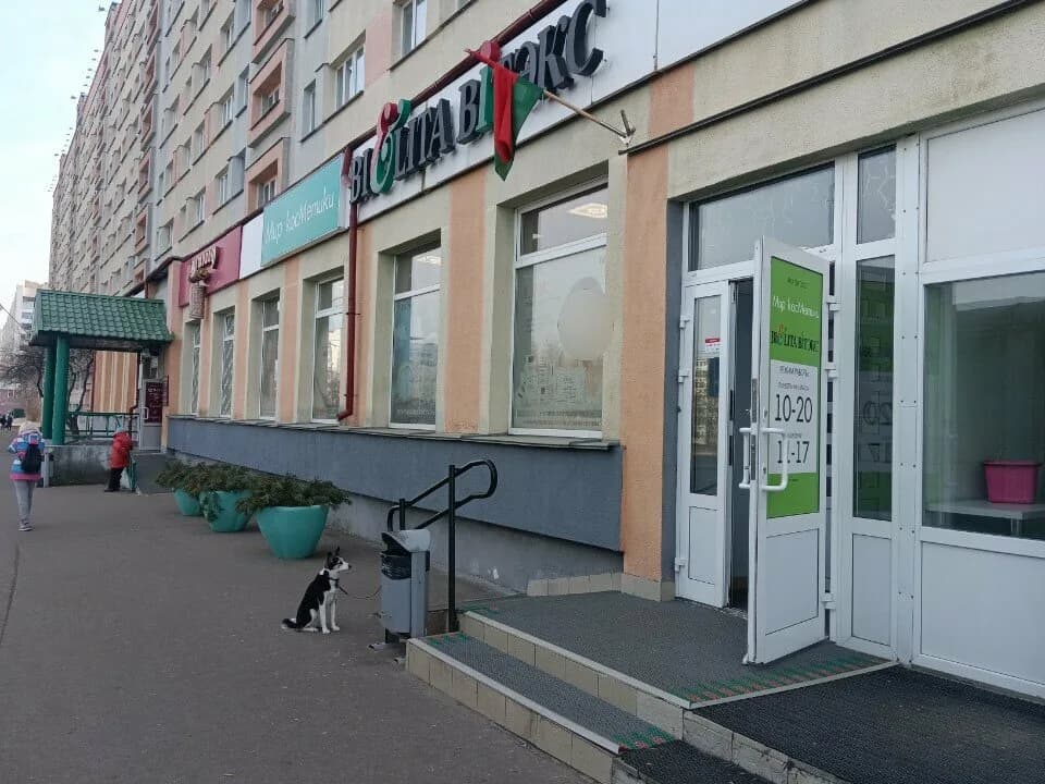 Белита-Витекс — фото 4