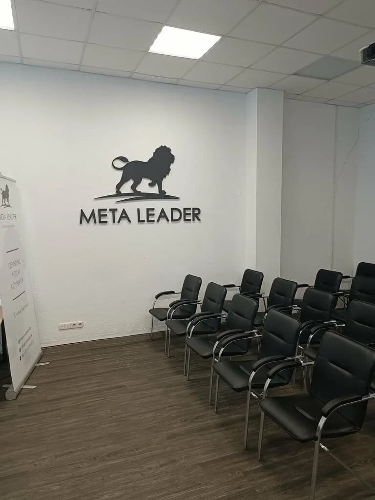 Мета Лидер