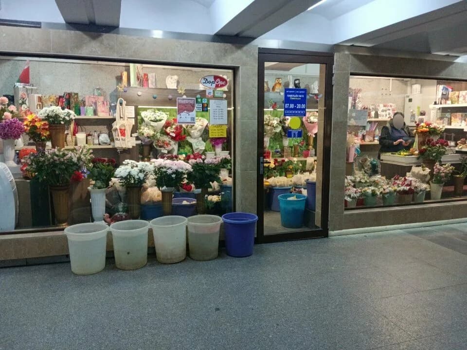 ДОРОРС