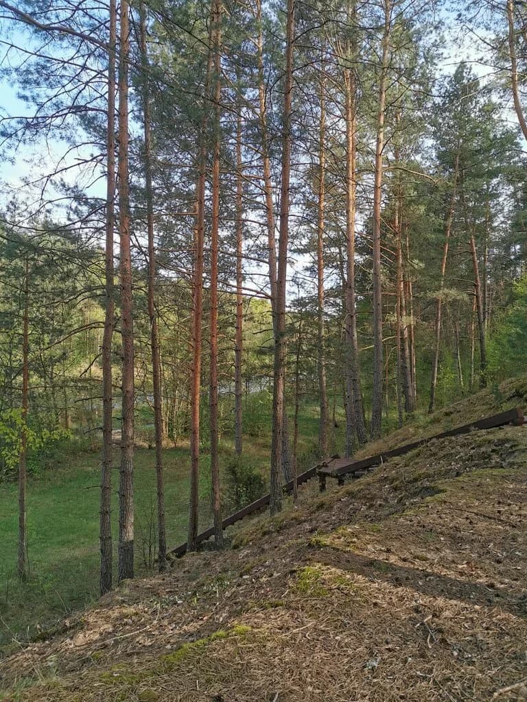 Лукавина Вилии — фото 5