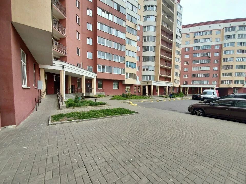Зебра — фото 4