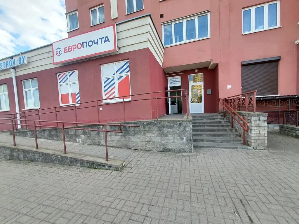 Зебра — фото 2