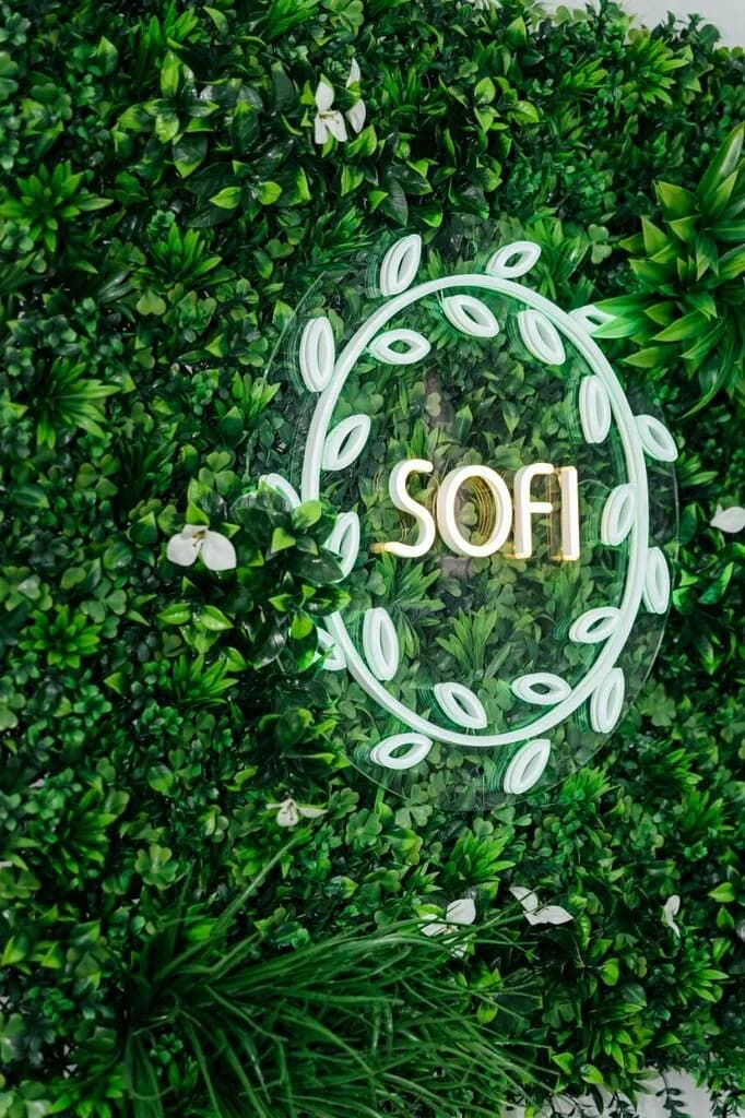 Sofi — фото 2