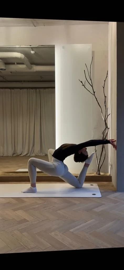 Shelest studio