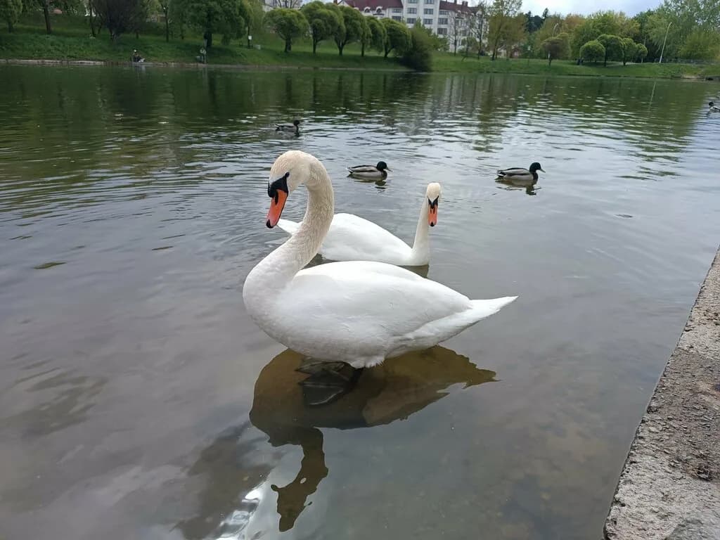 Водопад на Тепличном переулке — фото 3