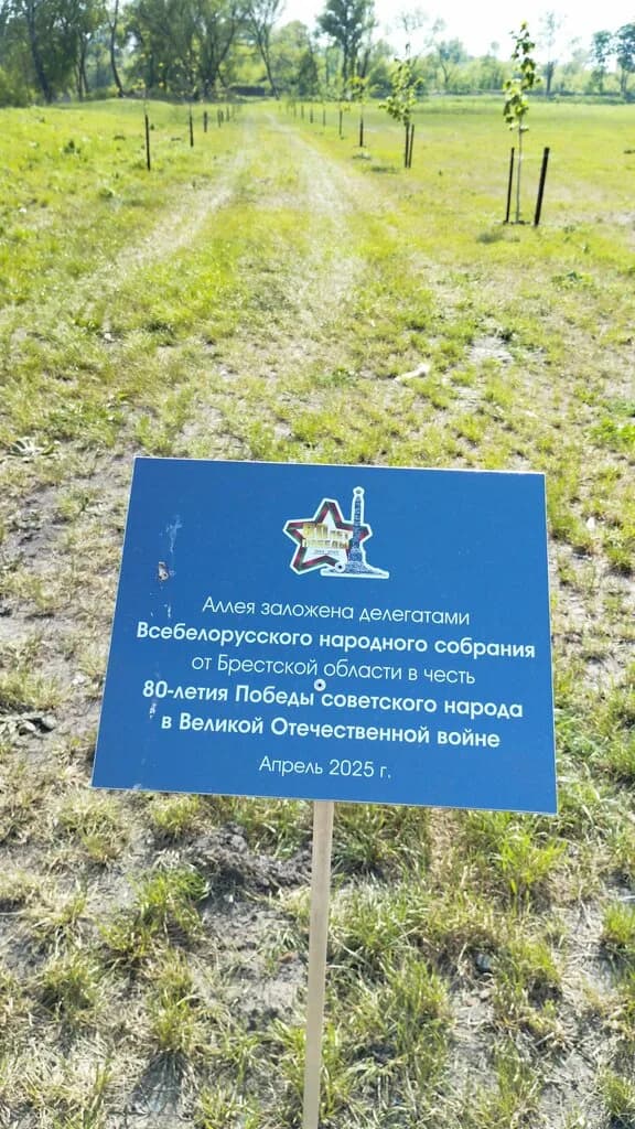 Аллея 80-летия Победы советского народа в Великой Отечественной войне