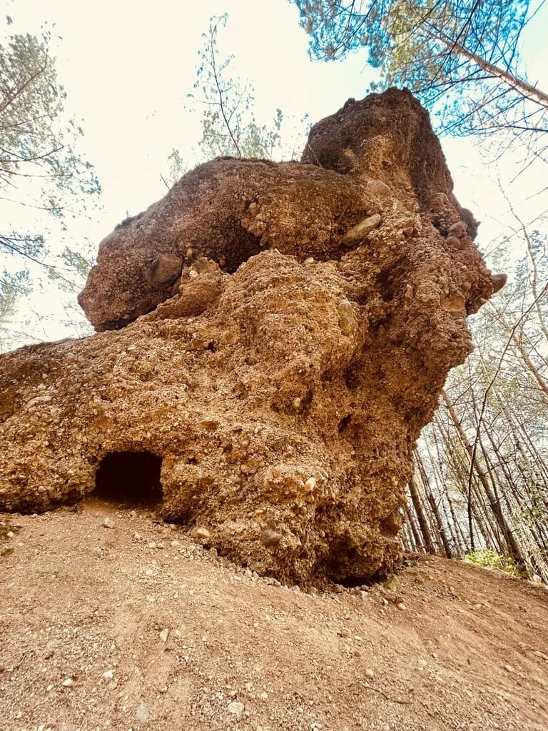 Ледниковые конгломераты Смольчицкие — фото 4