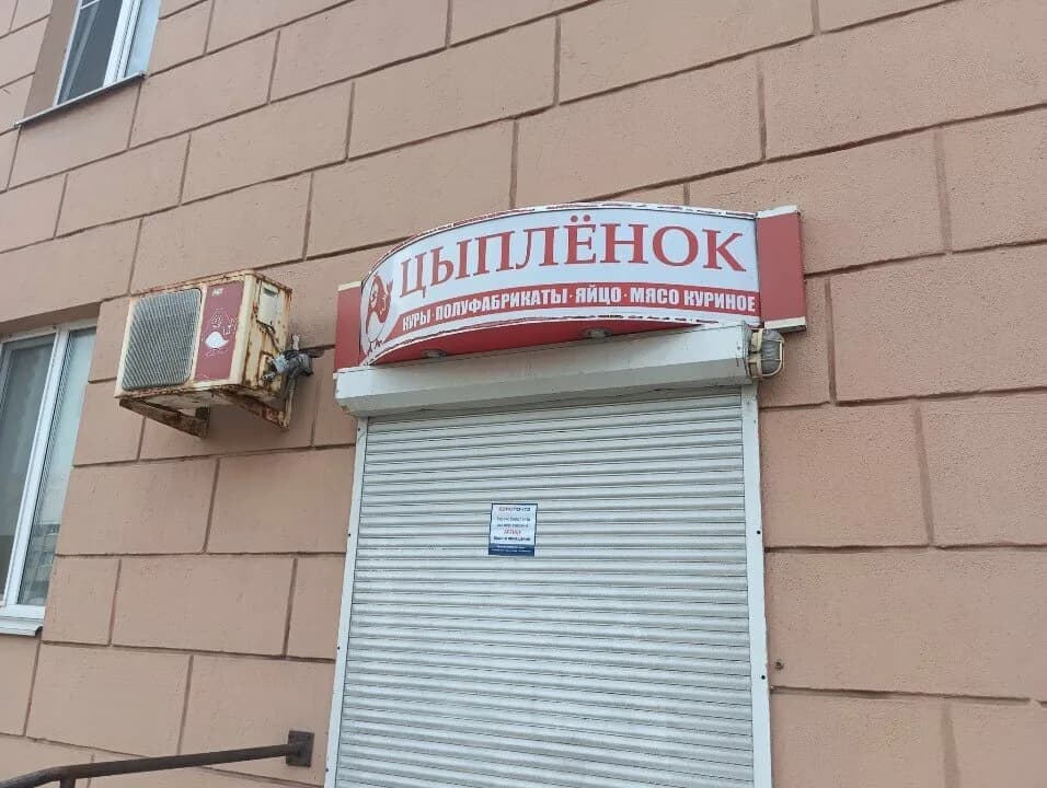 Циплёнок